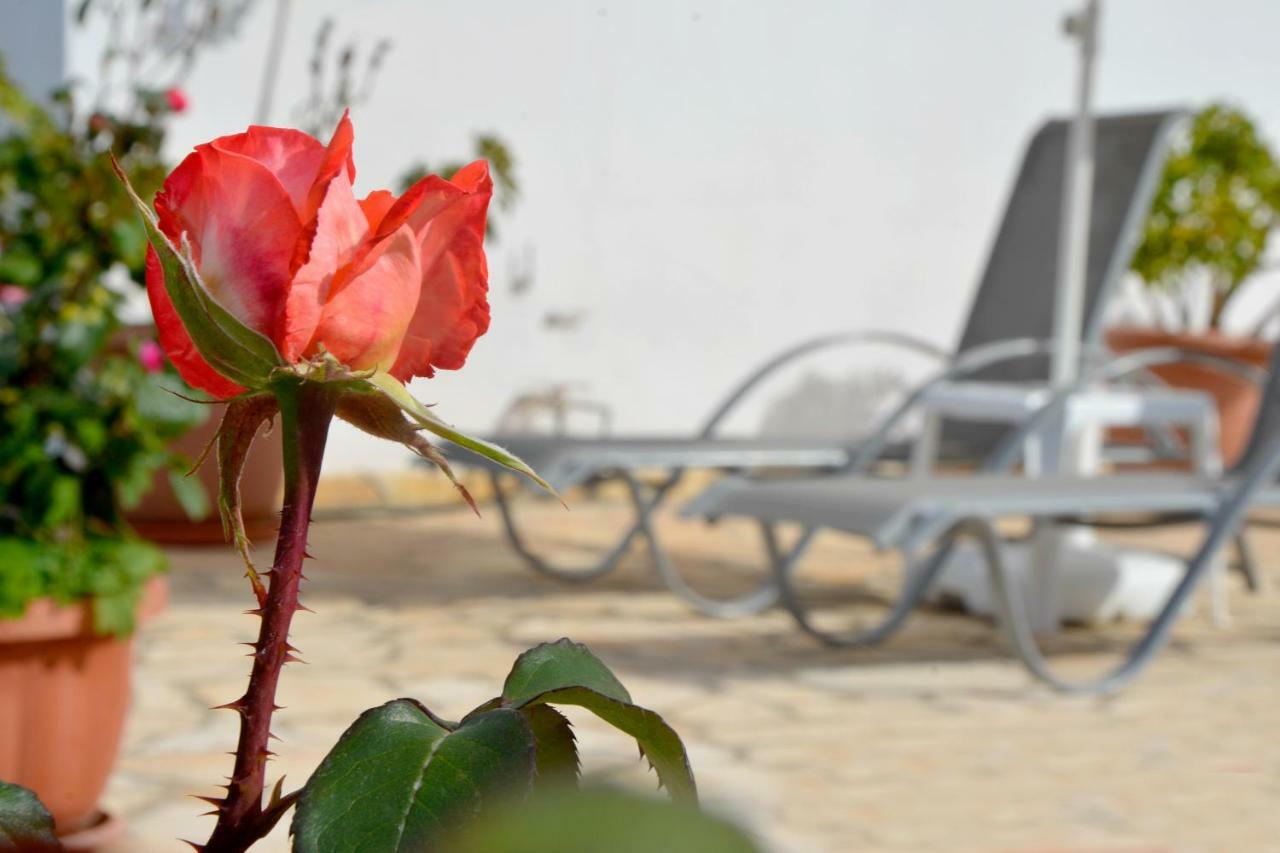 Villa Olive Grove And Sea View Agios Spyridon  Экстерьер фото